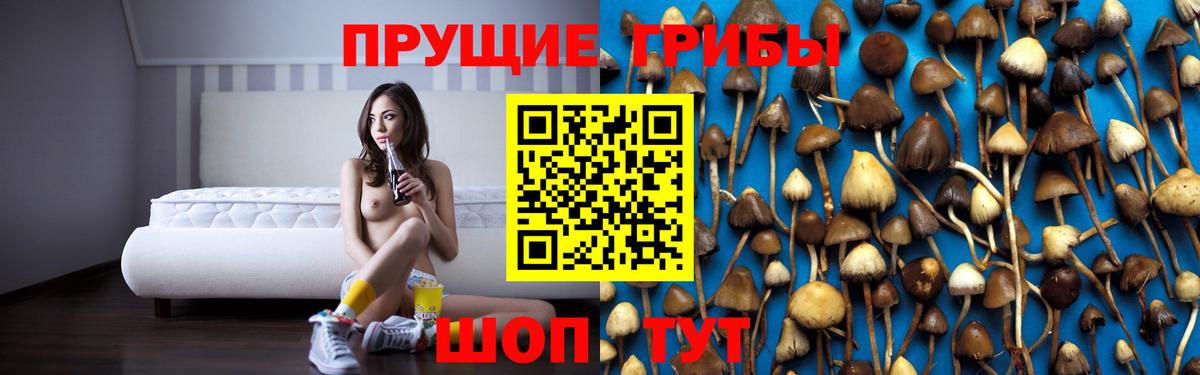 Галлюциногенные грибы мицелий Якутск